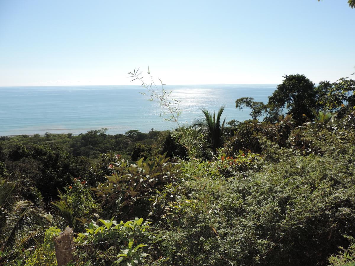 Ranchos Remo Lodge Uvita Ngoại thất bức ảnh