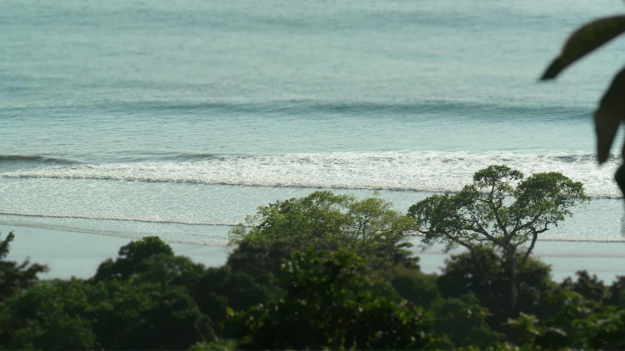 Ranchos Remo Lodge Uvita Ngoại thất bức ảnh