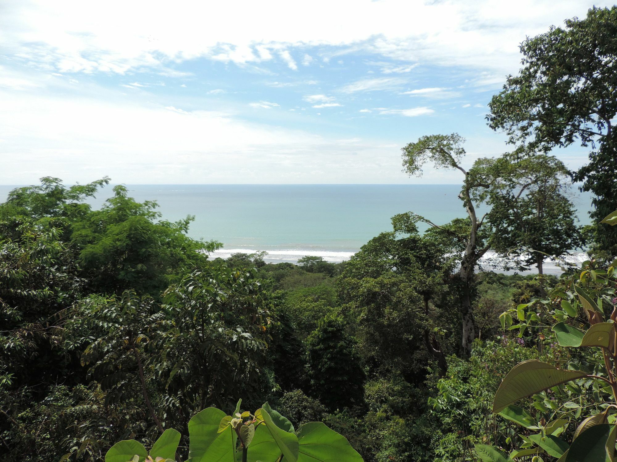 Ranchos Remo Lodge Uvita Ngoại thất bức ảnh