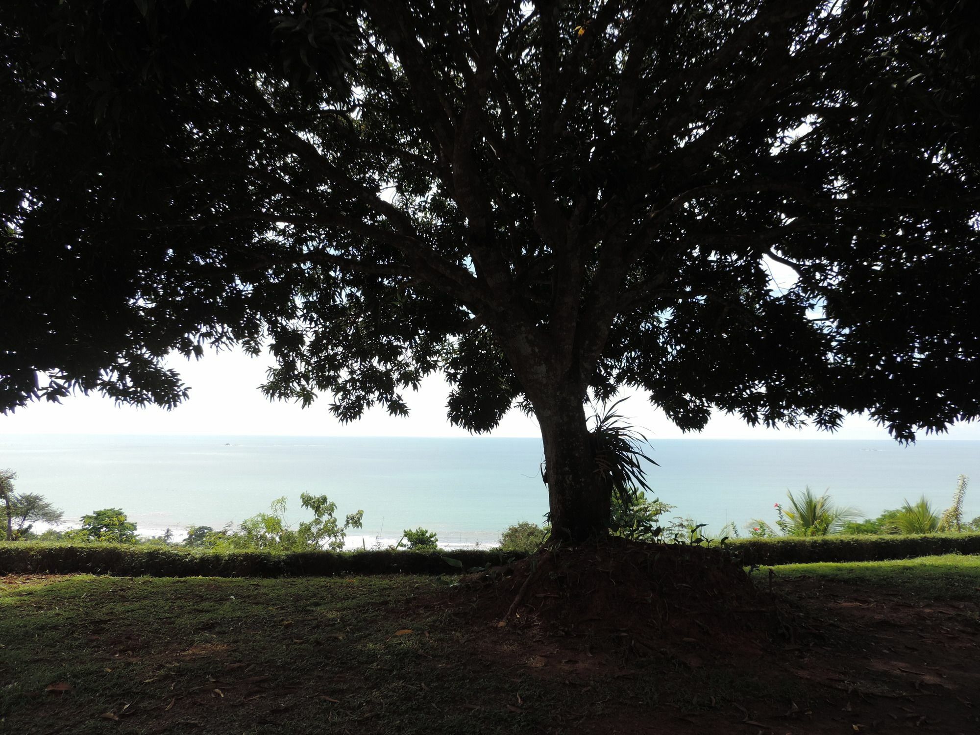 Ranchos Remo Lodge Uvita Ngoại thất bức ảnh
