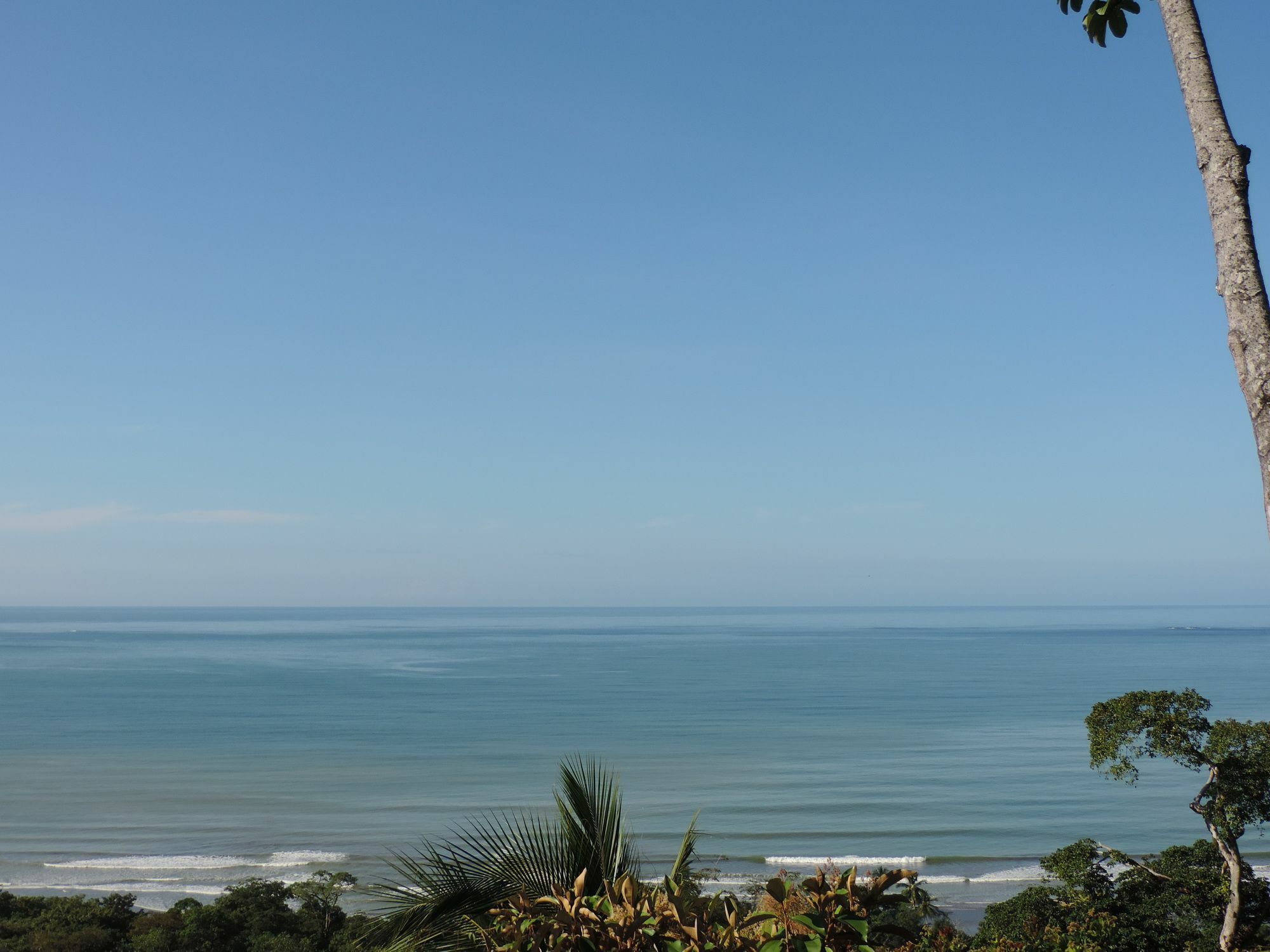 Ranchos Remo Lodge Uvita Ngoại thất bức ảnh